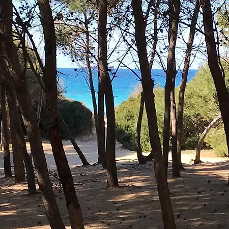 La Casa Di Bacco Alezio