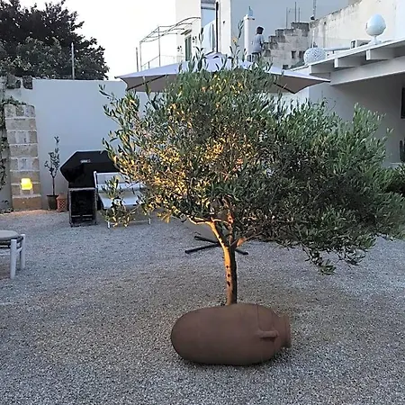 La Casa Di Bacco